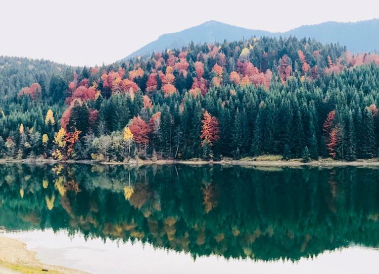 Chalet Du Lac Colibiţa المظهر الخارجي الصورة