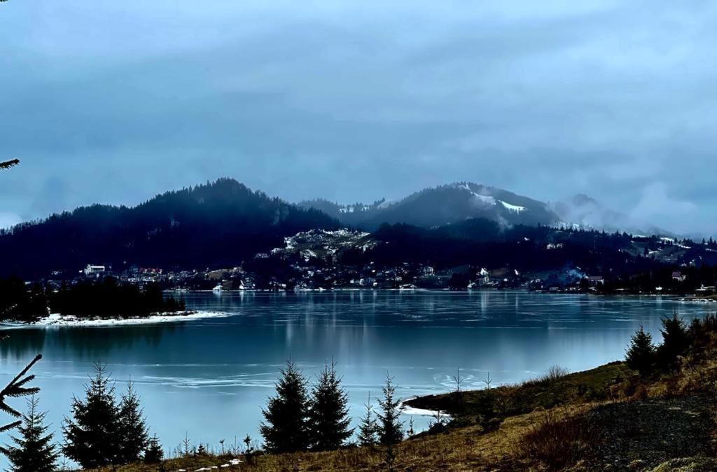 Chalet Du Lac Colibiţa المظهر الخارجي الصورة