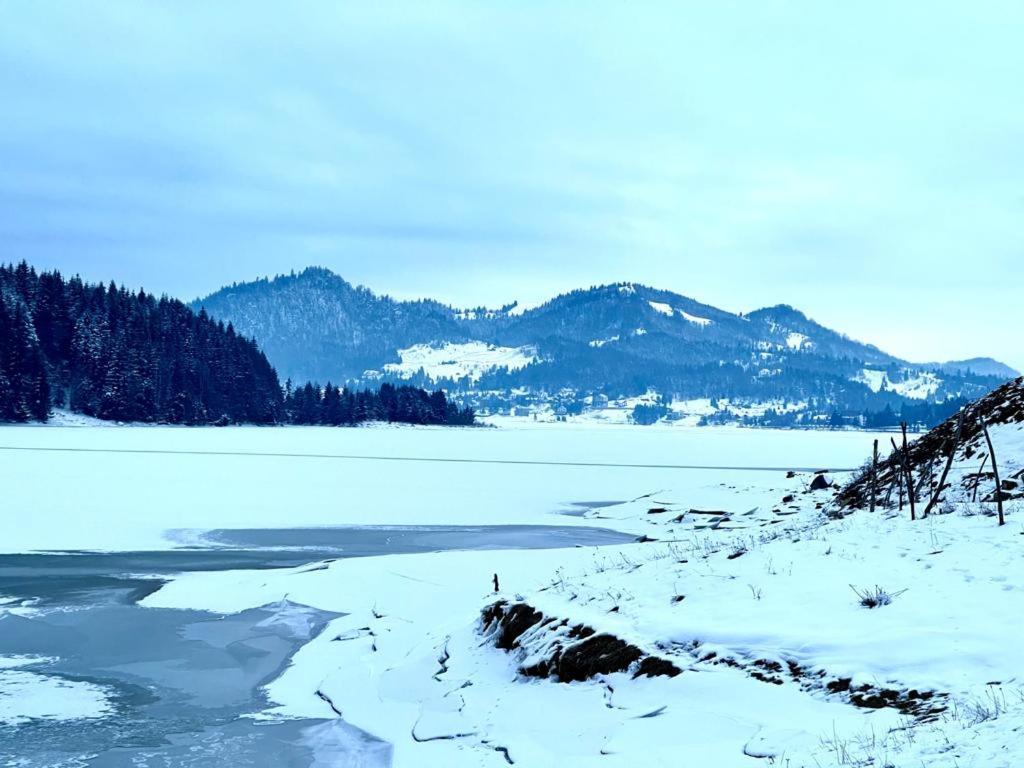 Chalet Du Lac Colibiţa المظهر الخارجي الصورة